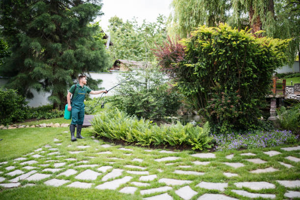 Best Wasp Removal Services  in Fredonia, NY