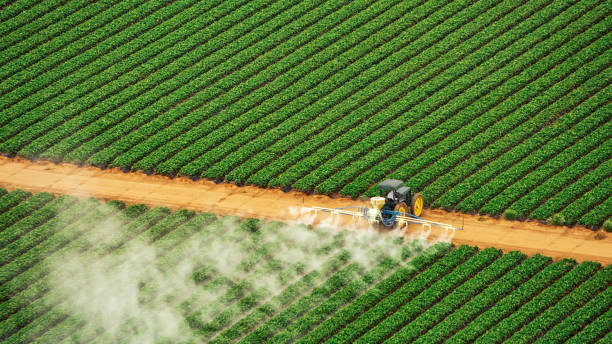 Best Ant Control Services  in Fredonia, NY