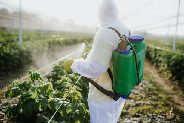 Best Mosquito Control Services  in Fredonia, NY